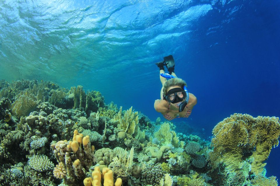 diving in marsa alam