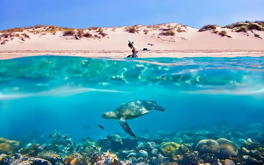 Giftun Island